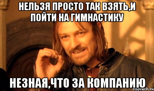 Нельзя просто так взять,и пойти на гимнастику Незная,что за компанию, Мем Нельзя просто так взять и (Боромир мем)