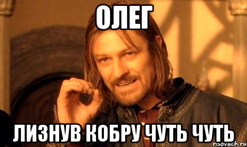 ОЛЕГ ЛИЗНУВ КОБРУ ЧУТЬ ЧУТЬ, Мем Нельзя просто так взять и (Боромир мем)