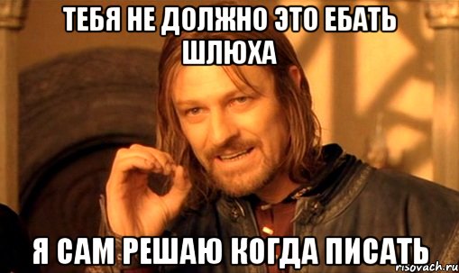 Тебя не должно это ебать шлюха я сам решаю когда писать, Мем Нельзя просто так взять и (Боромир мем)