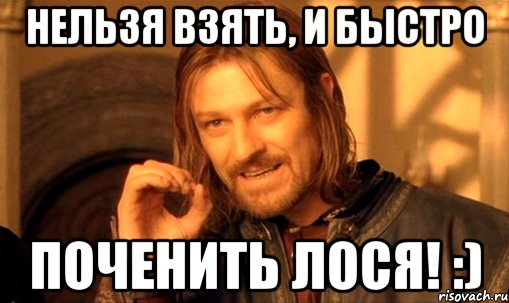 Нельзя взять, и быстро поченить ЛОСя! :), Мем Нельзя просто так взять и (Боромир мем)