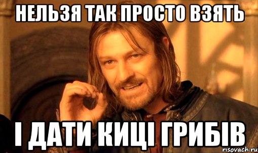 НЕЛЬЗЯ ТАК ПРОСТО ВЗЯТЬ І ДАТИ КИЦІ ГРИБІВ, Мем Нельзя просто так взять и (Боромир мем)