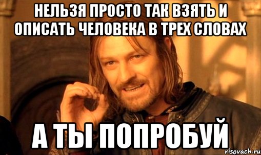 Нельзя просто так взять и описать человека в трех словах а ты попробуй, Мем Нельзя просто так взять и (Боромир мем)