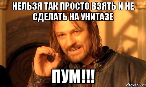 нельзя так просто взять и не сделать на унитазе пум!!!, Мем Нельзя просто так взять и (Боромир мем)