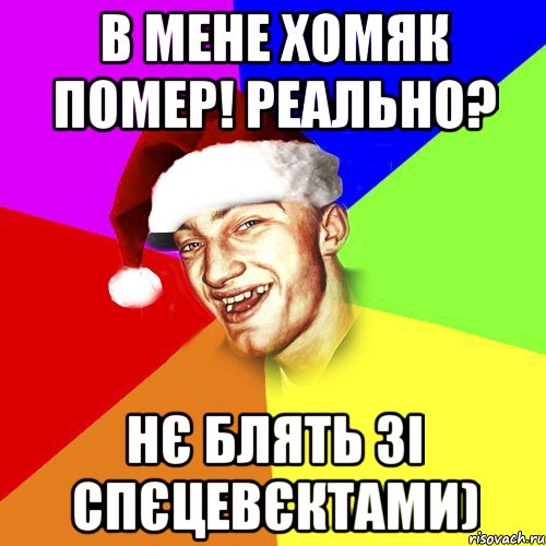 в мене хомяк помер! реально? нє блять зі спєцевєктами), Мем Новогоднй Чоткий Едк