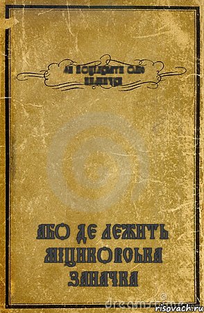 ЯК ПОЦІЛУВАТИ ОЛЮ ПИЛИПЧУК АБО ДЕ ЛЕЖИТЬ МІЦИКОВСЬКА ЗАНАЧКА, Комикс обложка книги