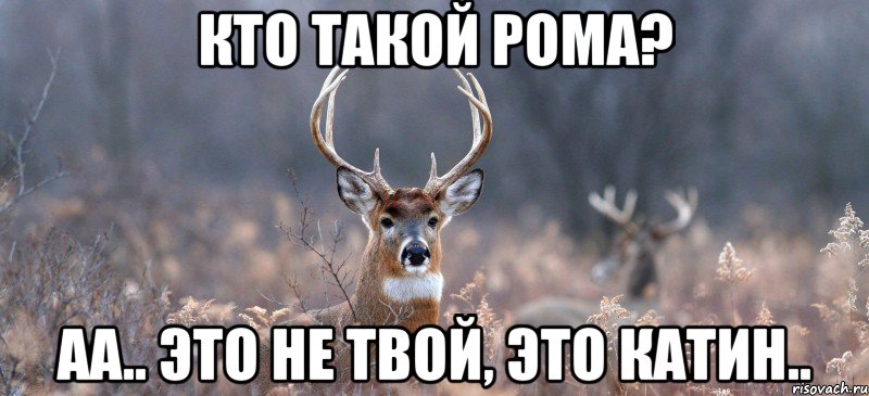 Кто такой Рома? Аа.. это не твой, это Катин..