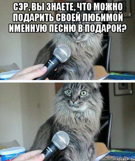 Сэр, вы знаете, что можно подарить своей любимой именную песню в подарок? , Комикс  кот с микрофоном