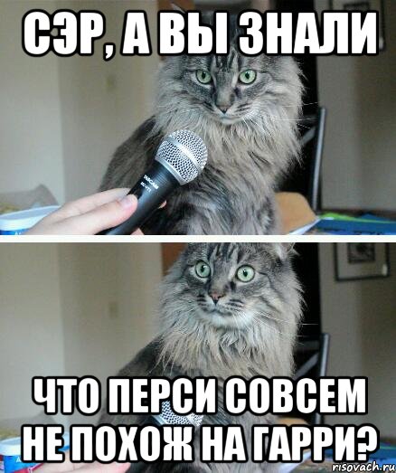 Сэр, а вы знали что Перси совсем не похож на Гарри?, Комикс  кот с микрофоном