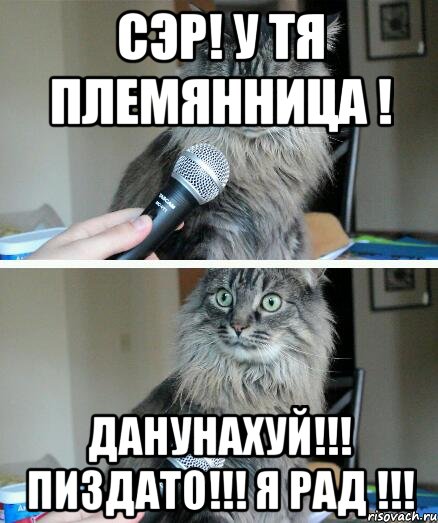 Сэр! у тя племянница ! данунахуй!!! пиздато!!! я рад !!!, Комикс  кот с микрофоном