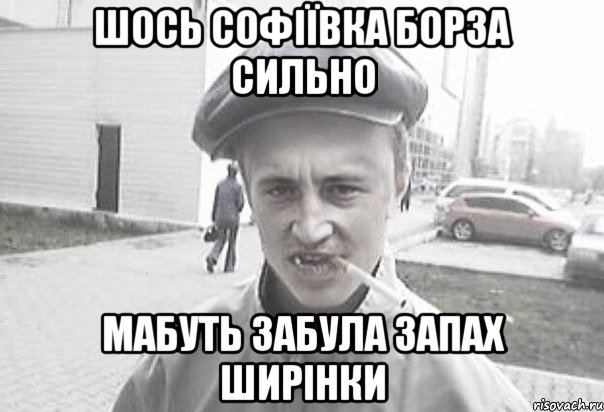 шось Софіївка борза сильно мабуть забула запах ширінки, Мем Пацанська философия