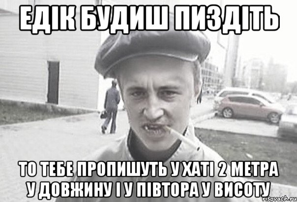 ЕДIК БУДИШ ПИЗДIТЬ ТО ТЕБЕ ПРОПИШУТЬ У ХАТI 2 МЕТРА У ДОВЖИНУ I У ПIВТОРА У ВИСОТУ, Мем Пацанська философия