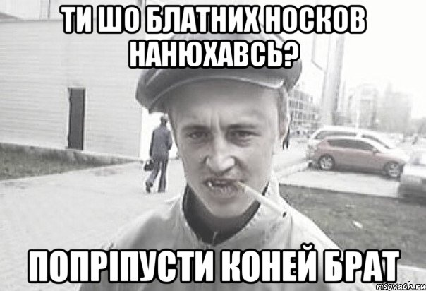 Ти шо блатних носков нанюхавсь? Попріпусти коней брат, Мем Пацанська философия