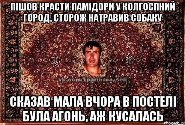 пішов красти памідори у колгоспний город, сторож натравив собаку сказав мала вчора в постелі була агонь, аж кусалась, Мем Парнь на сел