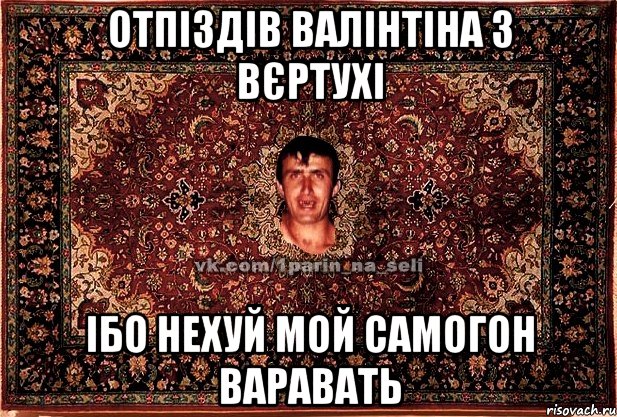 ОТПІЗДІВ ВАЛІНТІНА З ВЄРТУХІ ІБО НЕХУЙ МОЙ САМОГОН ВАРАВАТЬ, Мем Парнь на сел