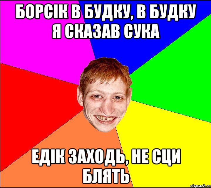 борсік в будку, в будку я сказав сука едік заходь, не сци блять, Мем Петро Бампер