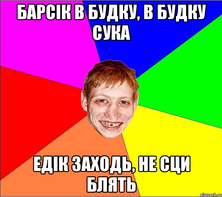 барсік в будку, в будку сука едік заходь, не сци блять, Мем Петро Бампер