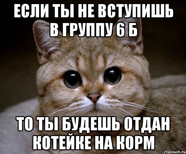 Отдам бывшего в хорошие. Пидрильня. 6б Мем. Гусь Пидрила. Мемнвые ааааткри.