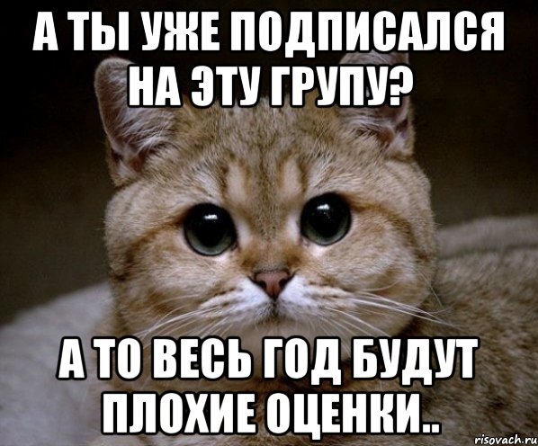 Я тебя уже присвоил. А ты подписался на группу. А ты уже подписался. А ты подписался на меня. Картинка а ты уже подписался.