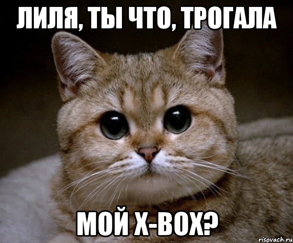 лиля, ты что, трогала МОЙ X-BOX?, Мем Пидрила Ебаная