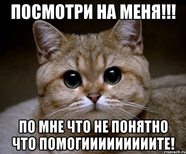 http://risovach.ru/upload/2014/01/mem/pidrila-ebanaya_41436584_orig_.jpeg