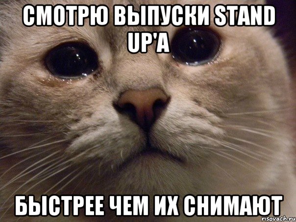 смотрю выпуски Stand Up'а быстрее чем их снимают, Мем   В мире грустит один котик