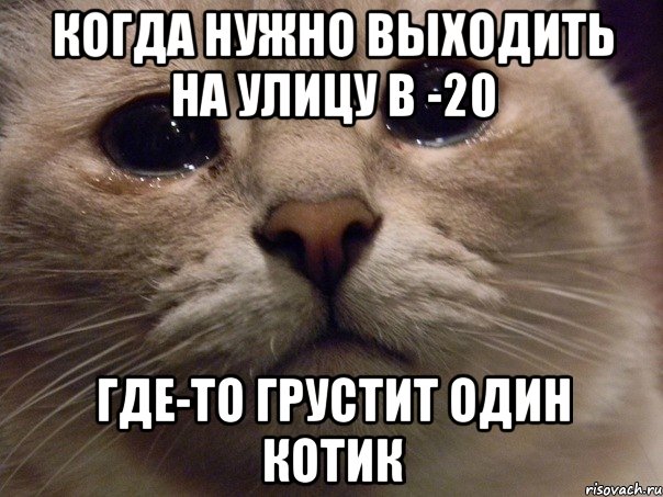 когда нужно выходить на улицу в -20 где-то грустит один котик, Мем   В мире грустит один котик