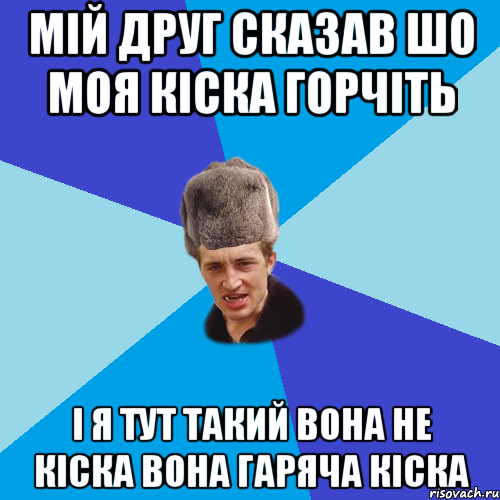 Мій друг сказав шо моя кіска горчіть і я тут такий вона не кіска вона гаряча кіска, Мем Празднчний паца