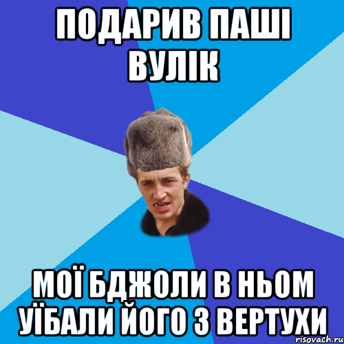 Подарив Паші вулік мої бджоли в ньом уїбали його з вертухи