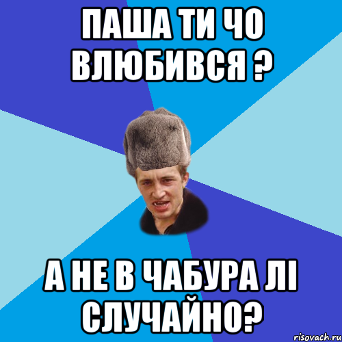 Паша ти чо влюбився ? а не в Чабура лі случайно?, Мем Празднчний паца