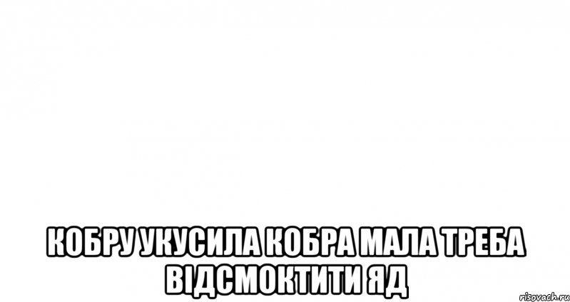  кобру укусила кобра мала треба відсмоктити яд, Мем Пустой лист