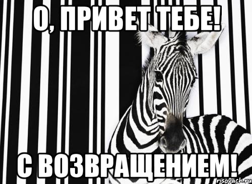 Ты вернешься. Привет ты девственница Мем. Мем с возвращением бро. Привет Наташа, с возвращением. Великое Возвращение Мем.