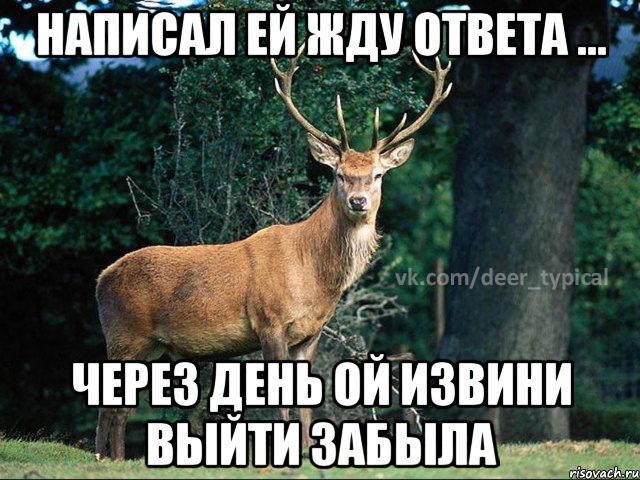 Что ответить на жду фото