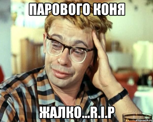 ПАРОВОГО КОНЯ ЖАЛКО...R.I.P, Мем Шурик (птичку жалко)