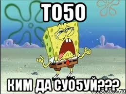 То5о Ким да суо5уй???, Мем Спанч Боб плачет