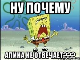 ну почему алина не отвечает???, Мем Спанч Боб плачет