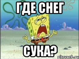 Где снег Сука?, Мем Спанч Боб плачет