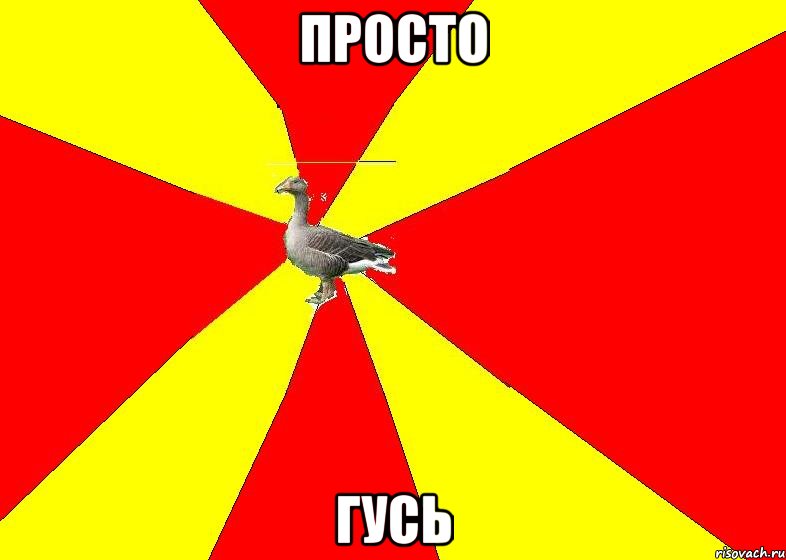 Мемы про гусей