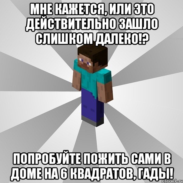 Мне кажется, Или это действительно зашло слишком далеко!? Попробуйте пожить сами в доме на 6 квадратов, гады!, Мем Типичный игрок Minecraft