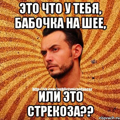 это что у тебя, бабочка на шее, или это стрекоза??