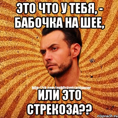 это что у тебя, - бабочка на шее, или это стрекоза??