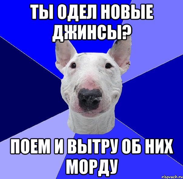 Новый надел. Надел новую. Что значит Буль.