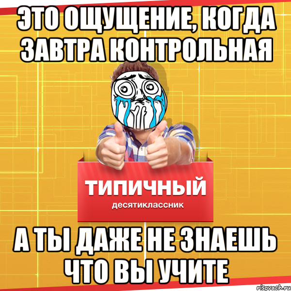 ЭТО ОЩУЩЕНИЕ, КОГДА ЗАВТРА КОНТРОЛЬНАЯ а ты даже не знаешь что вы учите, Мем Типичный десятиклассник