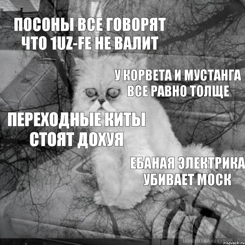 Не долго осталось. Кот безысходность. Мне осталось немного жить. Жить осталось мало. Мне жить осталось мало.