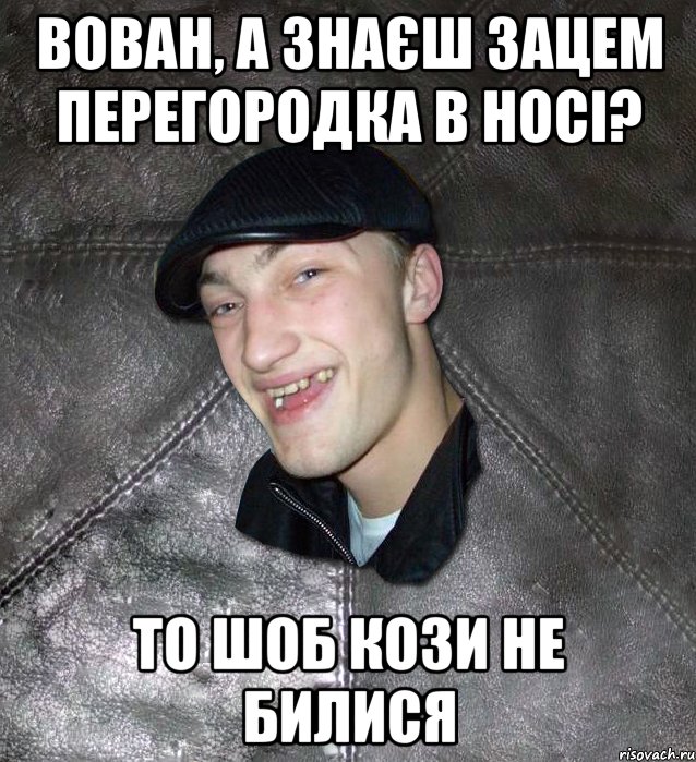 вован, а знаєш зацем перегородка в носі? то шоб кози не билися, Мем Тут Апасна