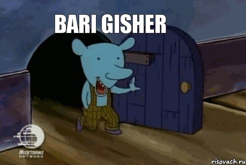 Bari gisher