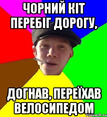 чорний кіт перебіг дорогу, догнав, переїхав велосипедом, Мем умный гопник