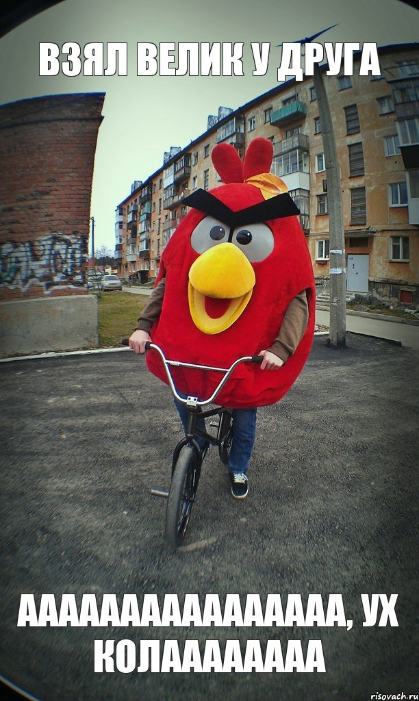 взял велик у друга аааааааааааааааа, ух Колаааааааа, Комикс  Angry bird на велике