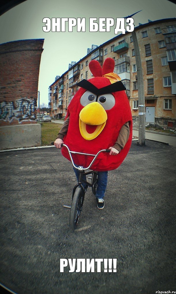 ЭНГРИ БЕРДЗ РУЛИТ!!!, Комикс  Angry bird на велике