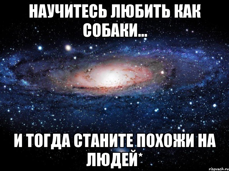 Как научиться любить людей. Научись любить. Да сбудутся все мечты у того кто это прочитал. Научите любить. Научи любить.