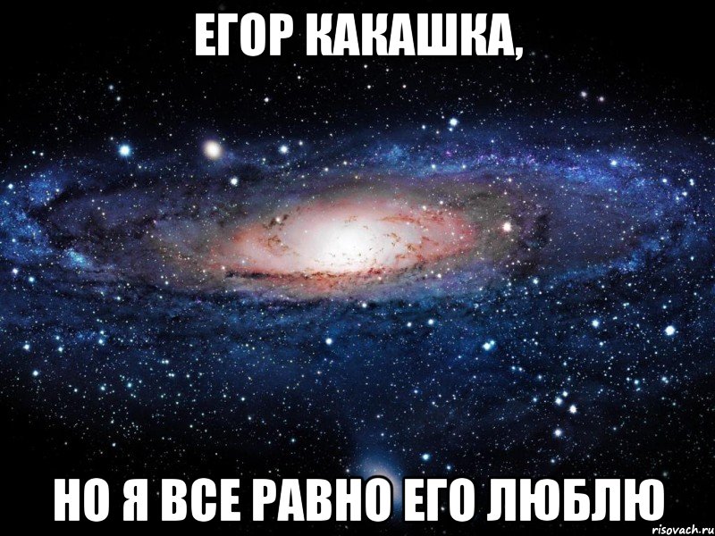 Ты какашка фото